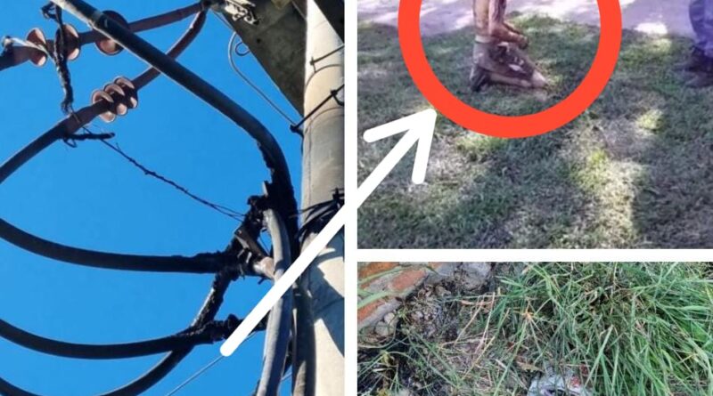 Tremendo: un joven quiso robar cables, se electrocutó y murió
