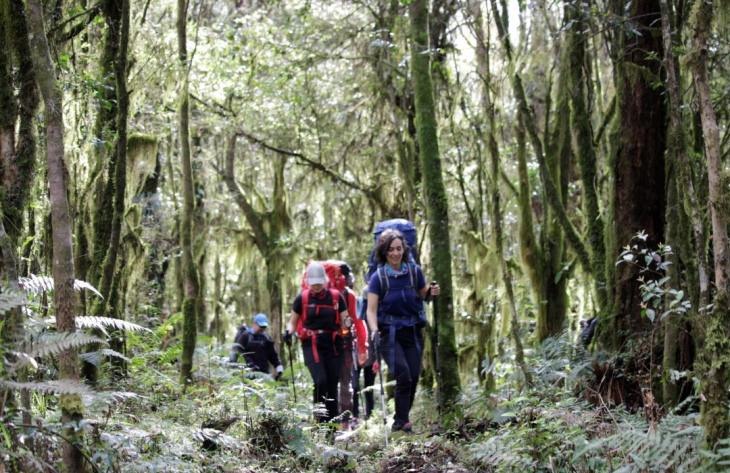 Diferentes experiencias para disfrutar durante el fin de semana en Tucumán