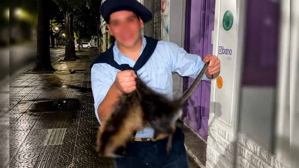 Repudiable caso de maltrato animal: bestias “humanas” se filmaron matando a patadas a una nutria