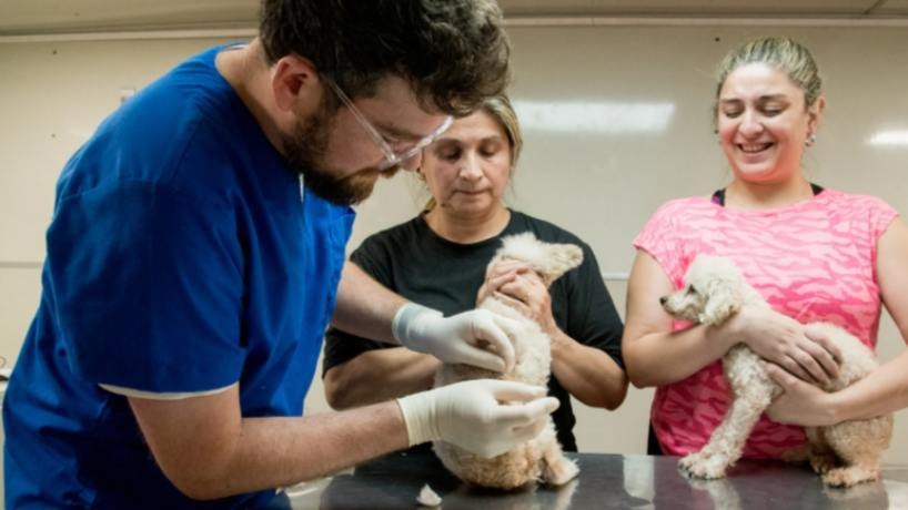 SM de Tucumán: dónde se ofrecerá el servicio de castración de perros y gatos del 16 al 19 de junio