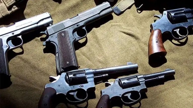 El Gobierno Nacional otorgó un año para declarar armas no registradas o con documentación irregular