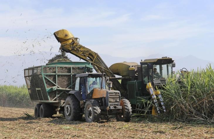 La zafra avanza con 16 ingenios en el NOA
