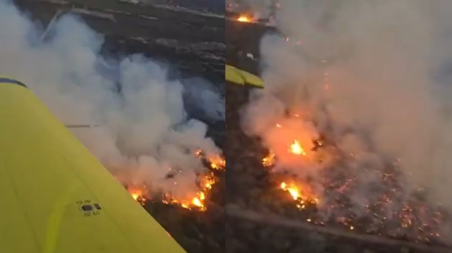 Alerta en Cafayate: se reavivaron los incendios forestales por los fuertes vientos. Mirá