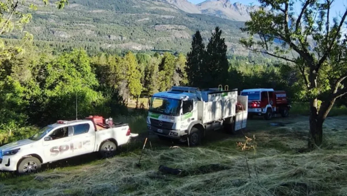 Tragedia en El Bolsón: un hombre murió aplastado por un árbol mientras cortaba leña
