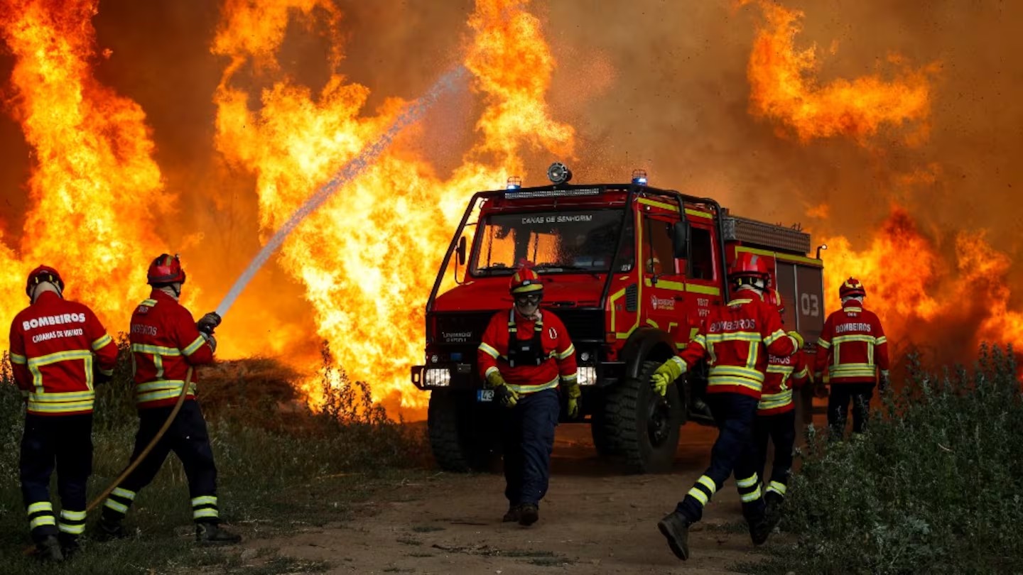 La ola de calor provoca incendios forestales en Francia, España y Portugal: las llamas arrasaron más de 19.000 hectáreas