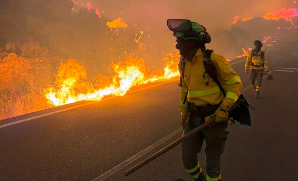 Al menos doce muertos y 23 personas desaparecidas por el incendio en Almería, España: “Es una tragedia sin precedentes”