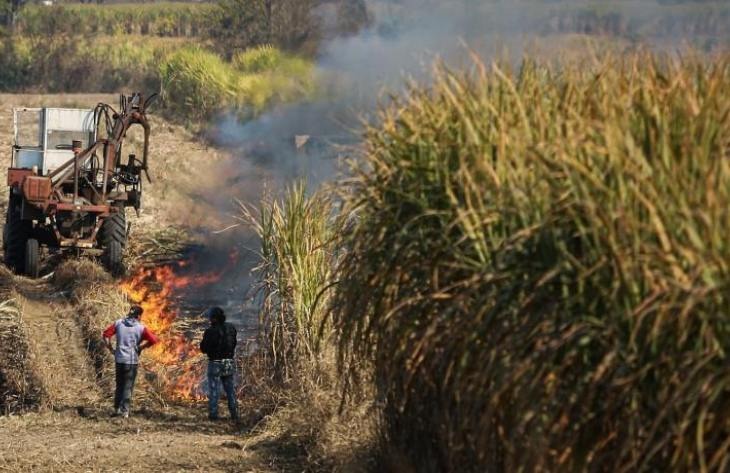 Tucumán fortalece la prevención de la quema de cañaverales y asistirá a pequeños productores