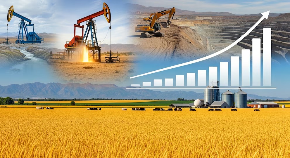 Las exportaciones de Argentina sumaron casi USD 50.000 millones en el primer semestre