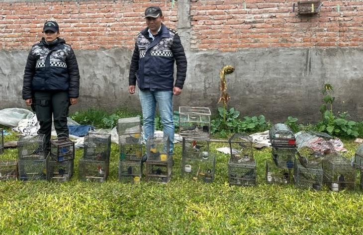 Tucumán: secuestran aves silvestres en cautiverio en Burruyacú