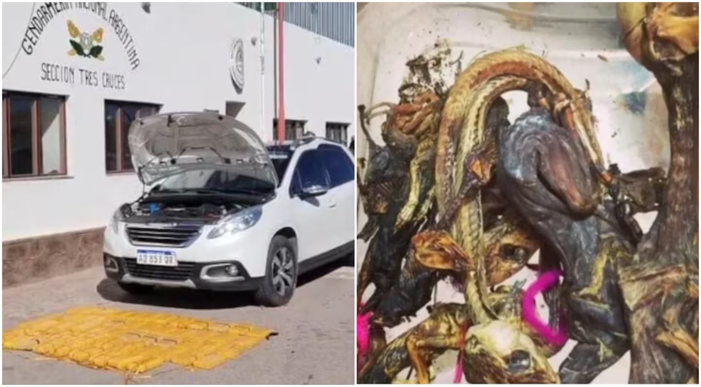 Cayó “la banda de la magia negra”: tenían 61 kilos de cocaína y hacían “brujerías” para proteger los cargamentos