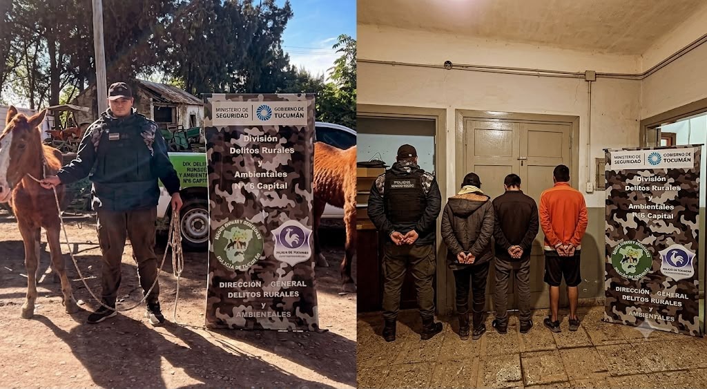 Maltrato animal en Tucumán: tres detenidos y dos caballos rescatados en grave estado de desnutrición