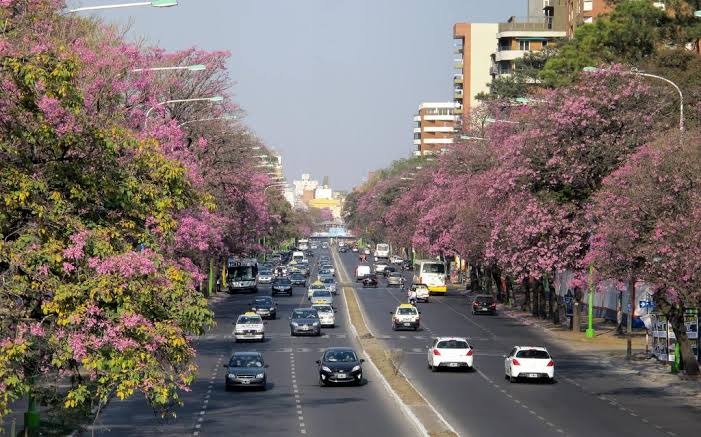Tucumán despide agosto con un anticipo primaveral y marcas térmicas de casi 30°C