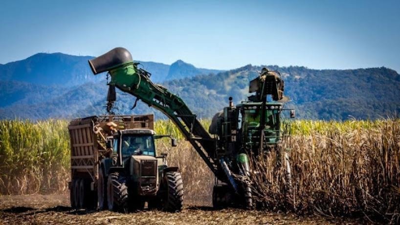 Gran avance de la zafra en Tucumán y otras provincias del Norte
