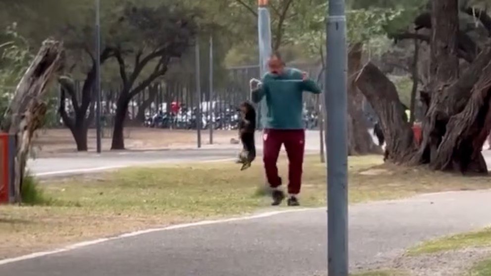 Iniciaron una causa judicial a un hombre que fue grabado ahorcando y pateando a su perro salchicha. Mirá